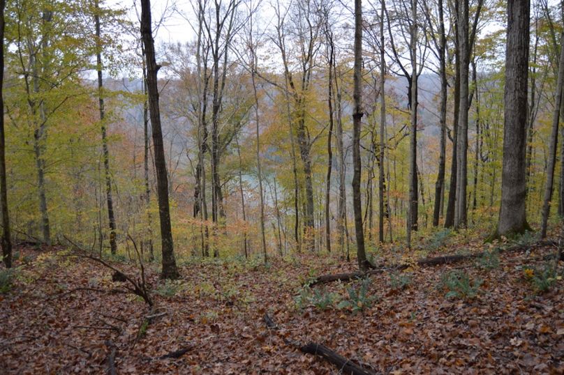 Unadjustednonraw thumb 47f2