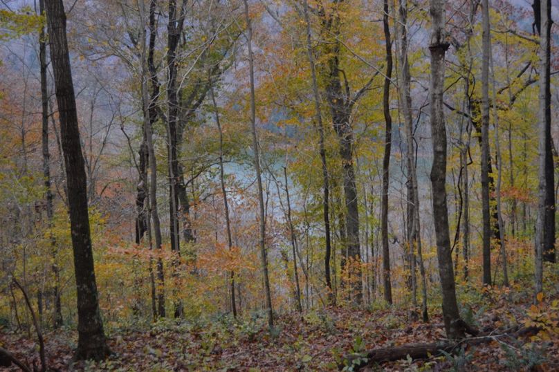 Unadjustednonraw thumb 47f3