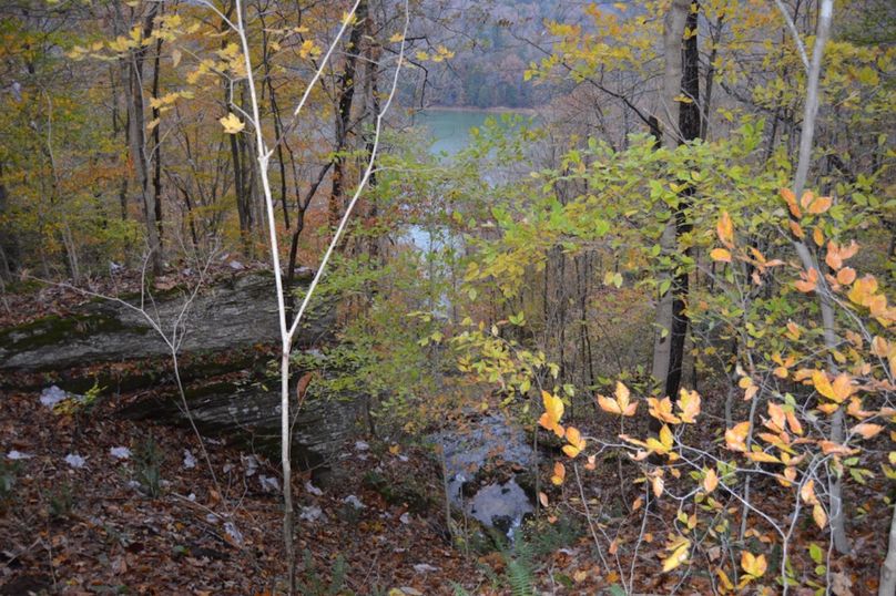 Unadjustednonraw thumb 47f4