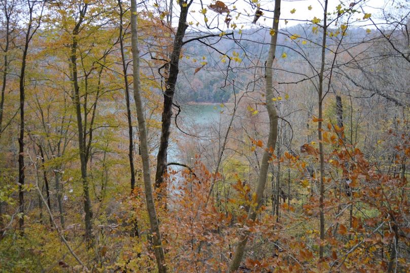 Unadjustednonraw thumb 47f8