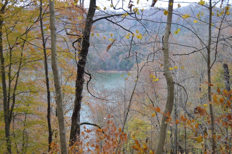 Unadjustednonraw thumb 47f9