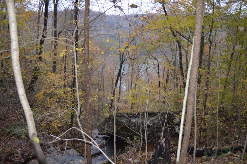 Unadjustednonraw thumb 47fb