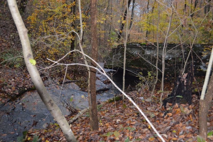 Unadjustednonraw thumb 47fc