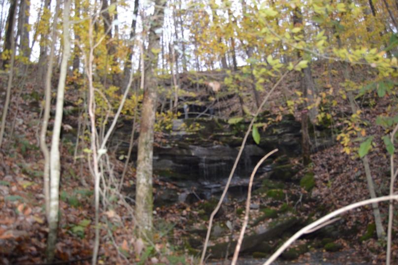 Unadjustednonraw thumb 47fd