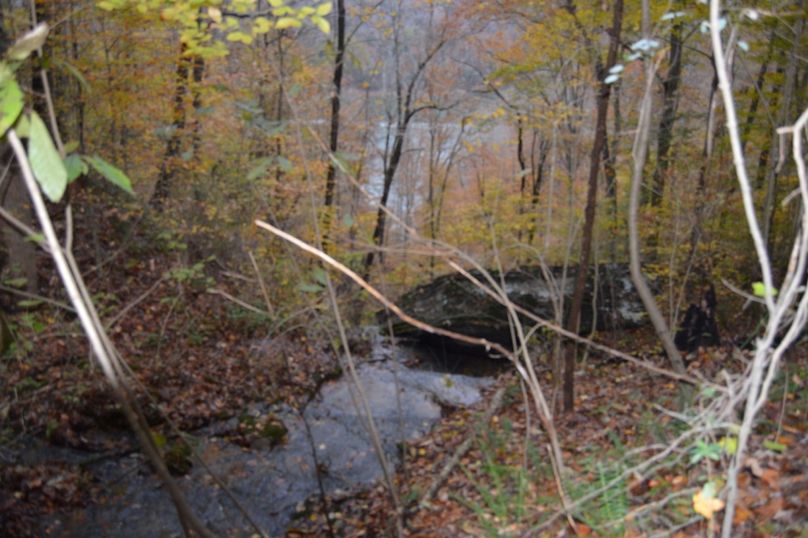 Unadjustednonraw thumb 47ff