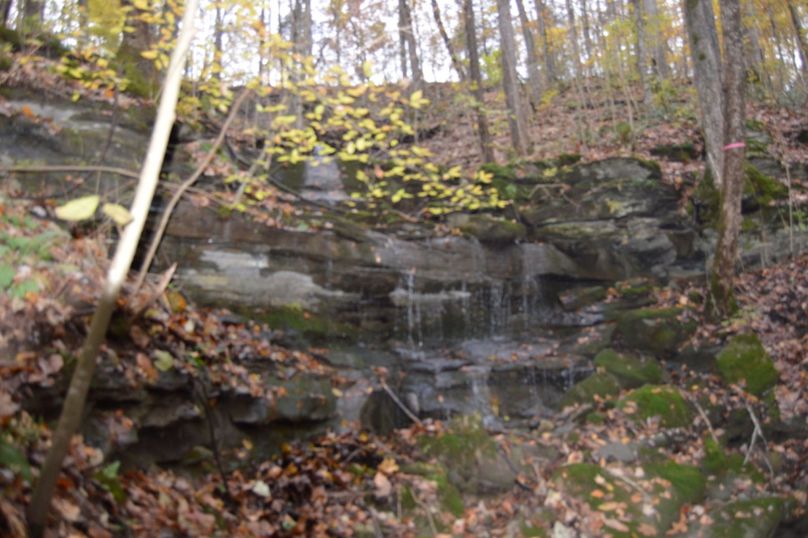 Unadjustednonraw thumb 4800