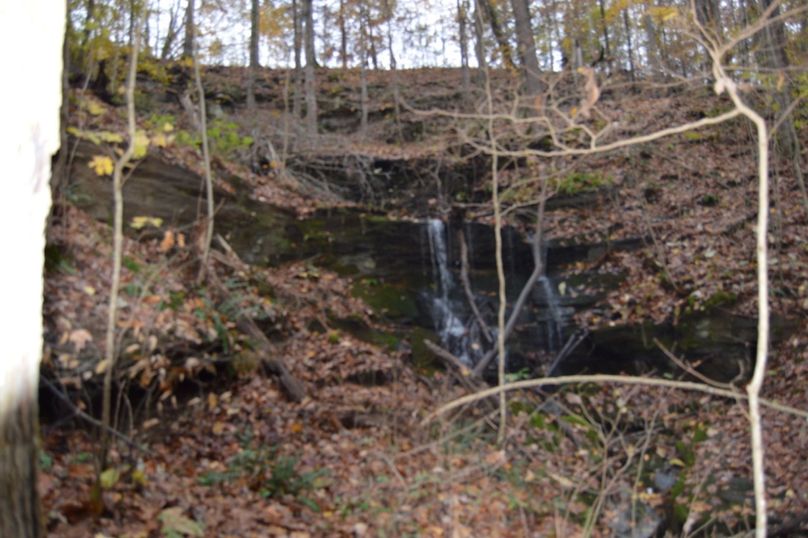 Unadjustednonraw thumb 4803