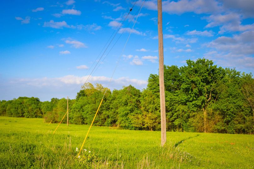16. electrical pole on property