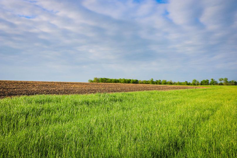 20. good mix improved grass   tillable