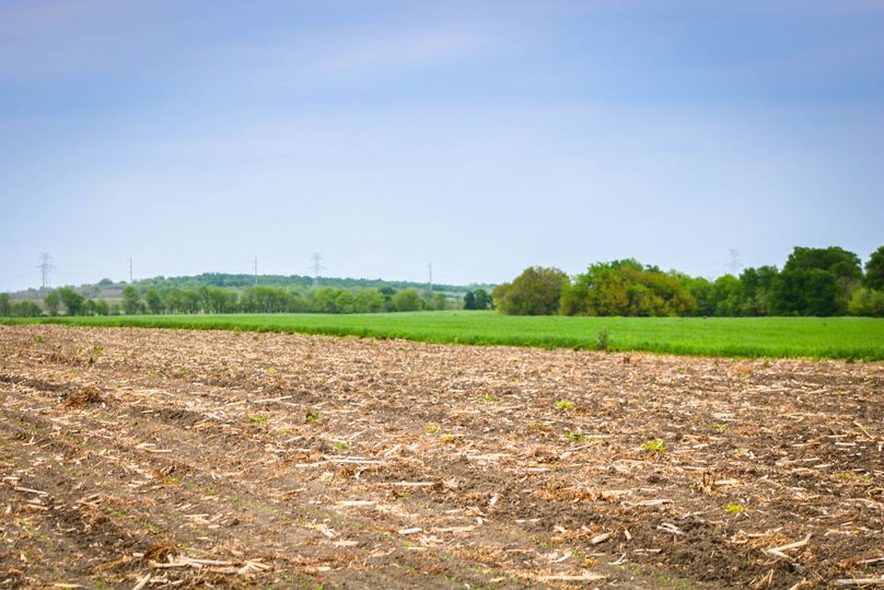 21. grass   tillable