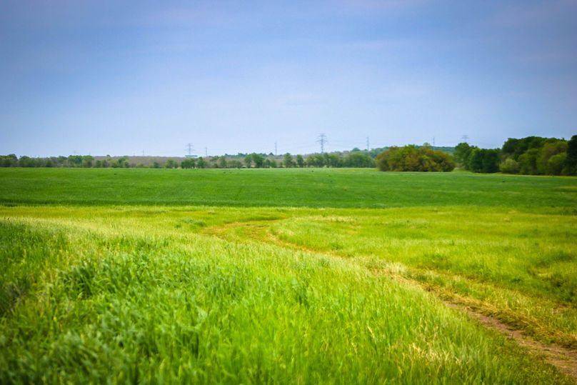 8. improved grasses-2