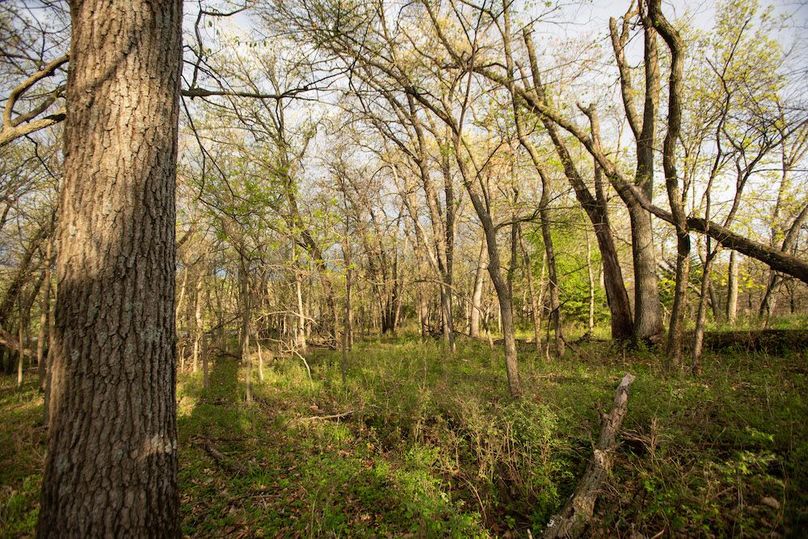 MONTGOMERY CO IA. 156.78_72