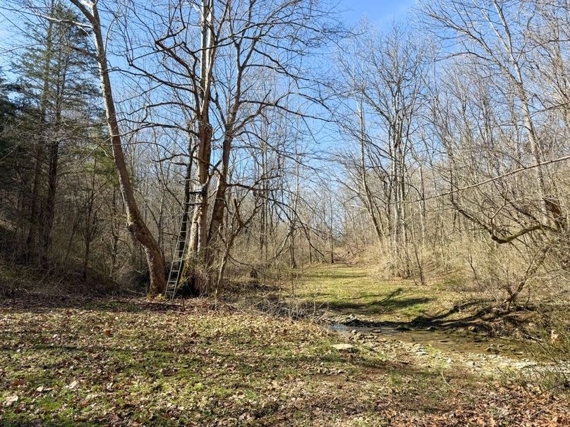 Fleming Petry 120-074