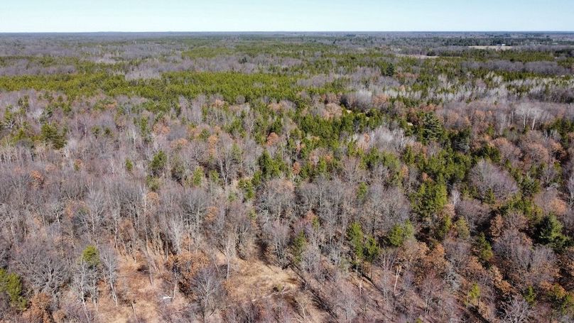 dji_fly_20240306_110206_31_1709744817919_photo_optimized