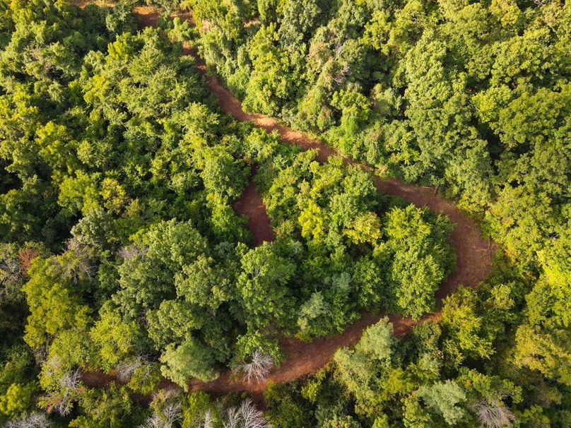 dji_fly_20250826_084038_697_1756215651362_photo