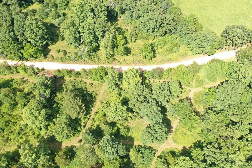 DJI_0019