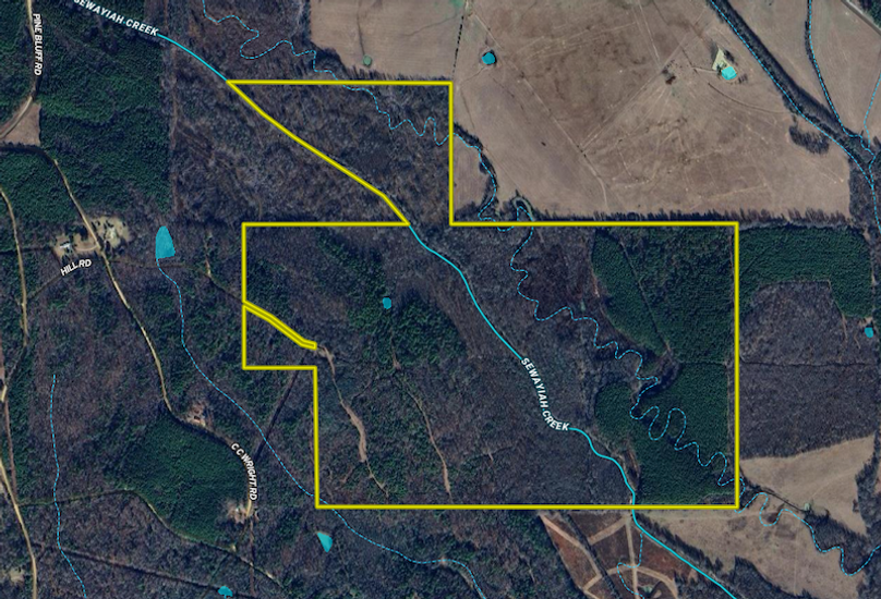 Screenshot 2025-09-17 at 12.05.52 PM