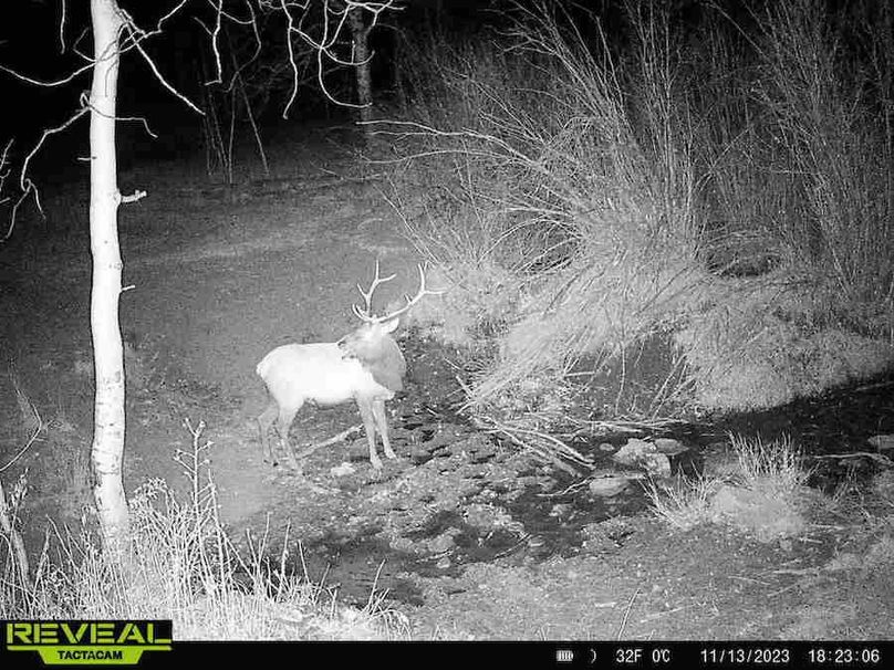 Copy of c8bc1001-7a83-4629-8557-b1bd80d95c2a