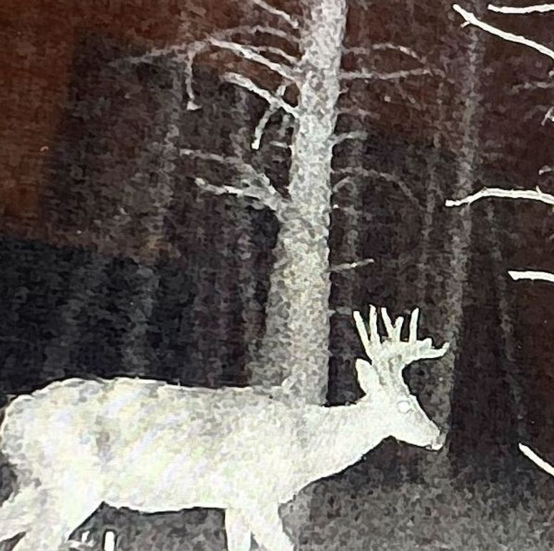 Scanned_20251017-1754-01