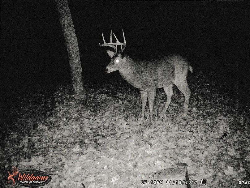 Trailcam1-2