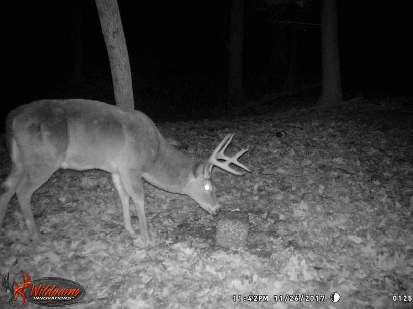 Trailcam2-2