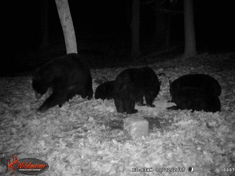 Trailcam4-2