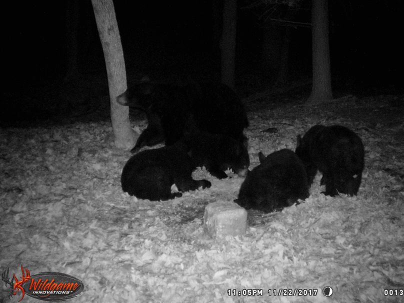 Trailcam5-2