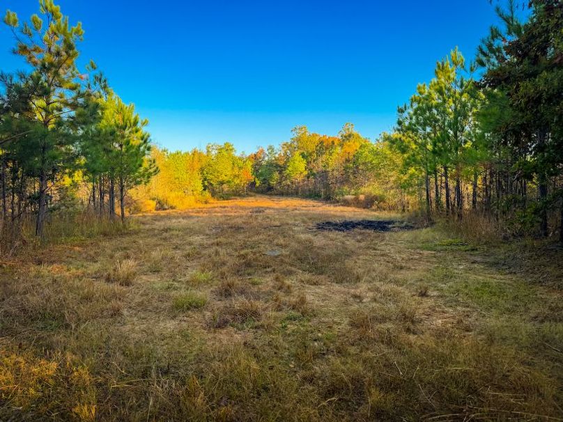 Clay 302.7 Henderson-33