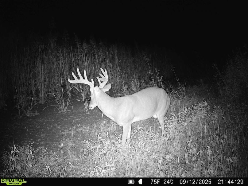 Copy of Copy of Noxubee 222.1 Trail Cam-2