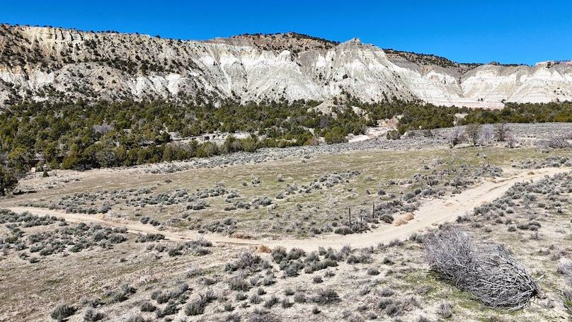 DJI_20240403111832_0153_D