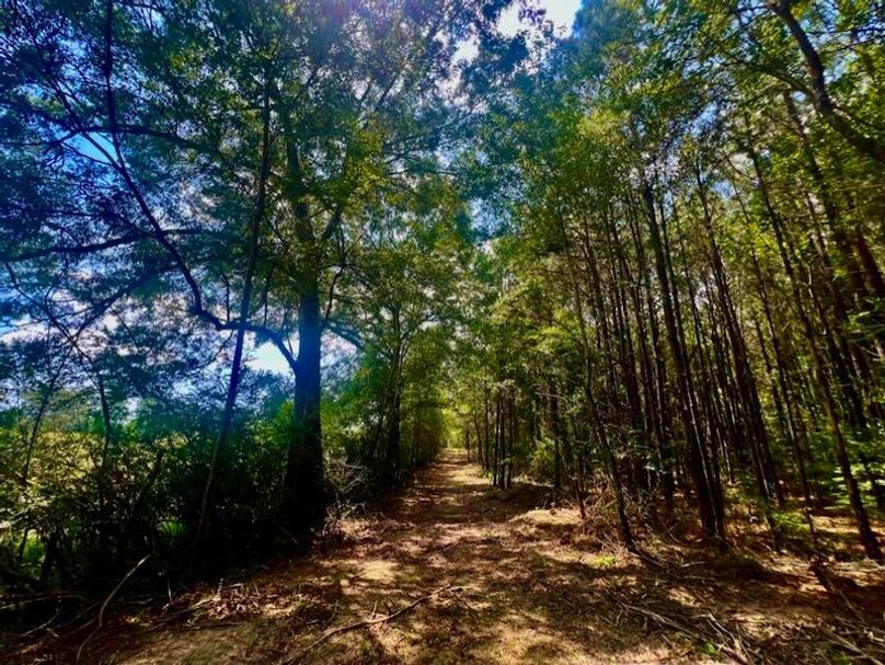 5FE1A181-E83E-42CD-B1E9-DD15EEFDFF25_1_105_c