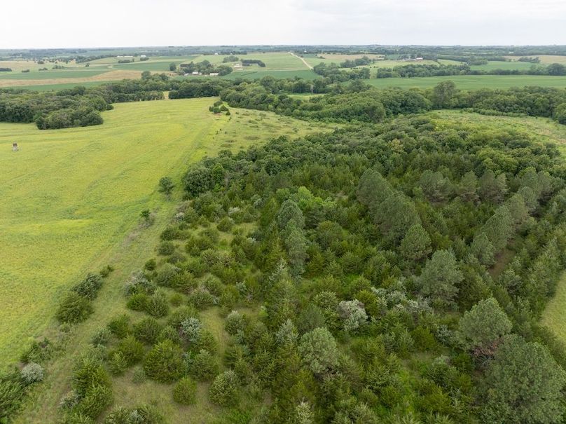 20240716-DJI_20240716144223_0038_D