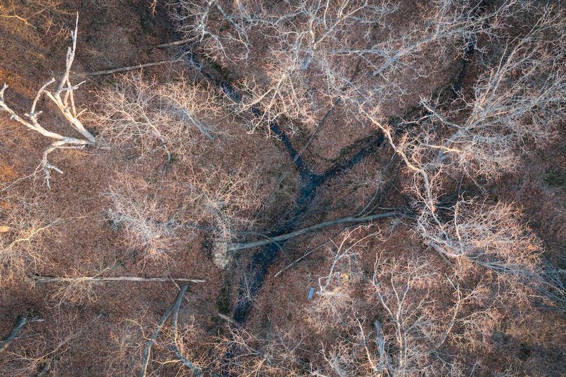 DJI_20260228070617_0297_D