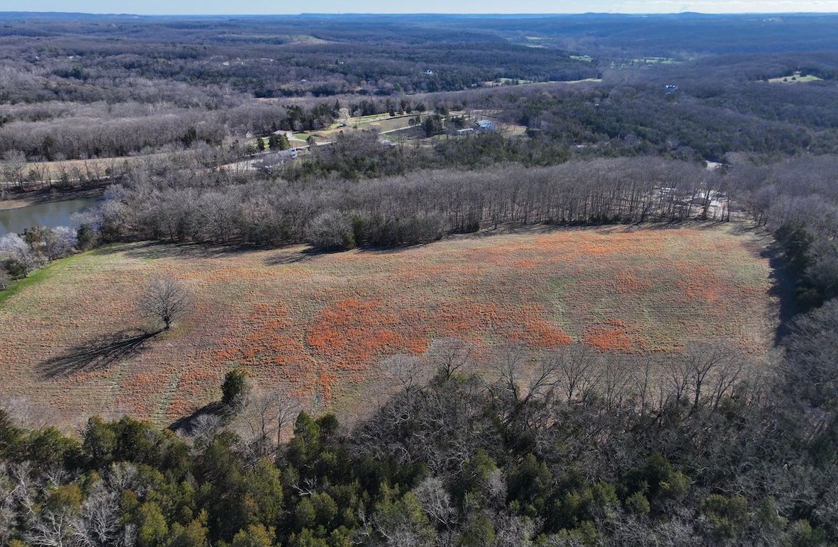 DJI_20260317093401_0975_D