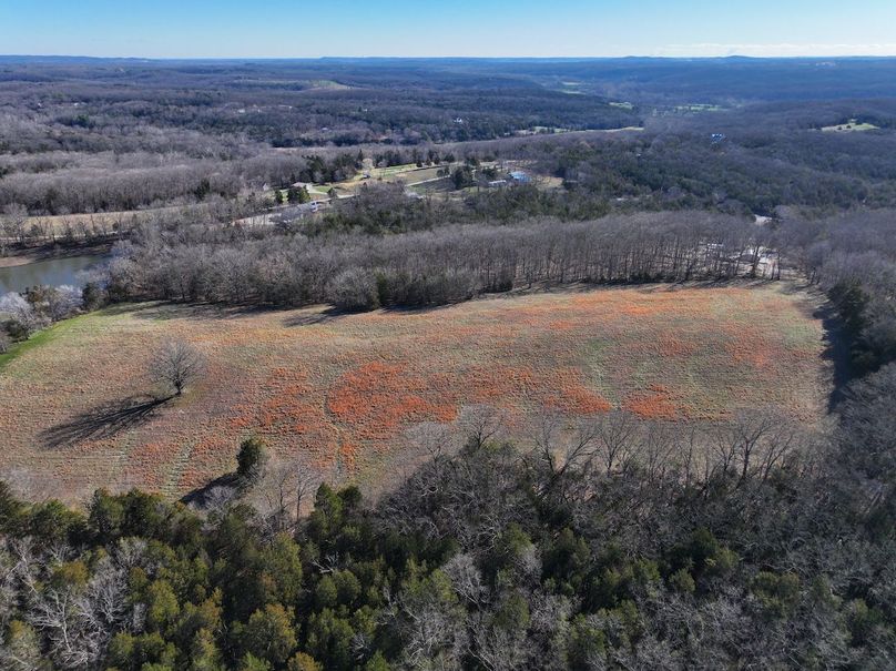 DJI_20260317093401_0975_D