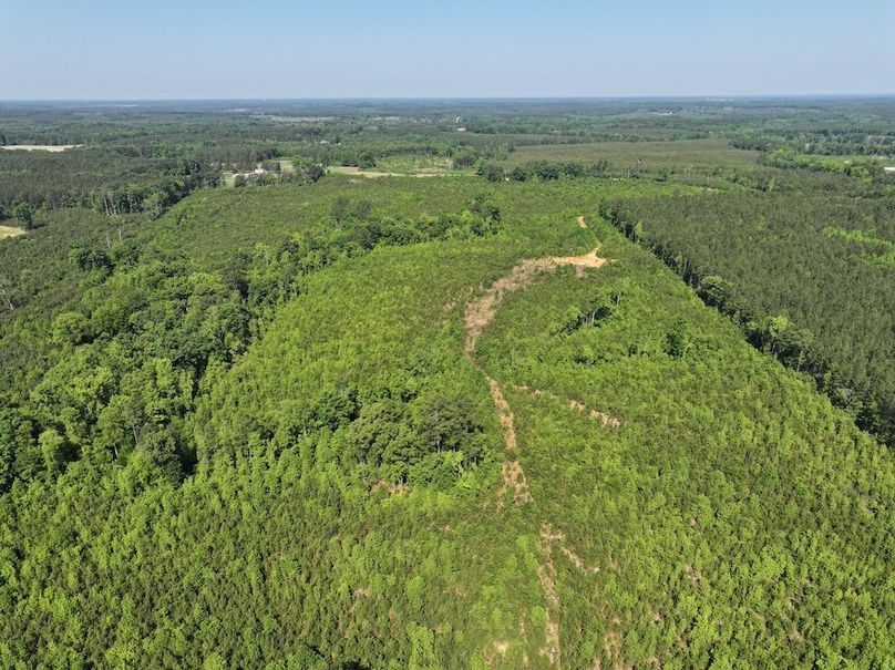 DJI_20260518101035_0926_D
