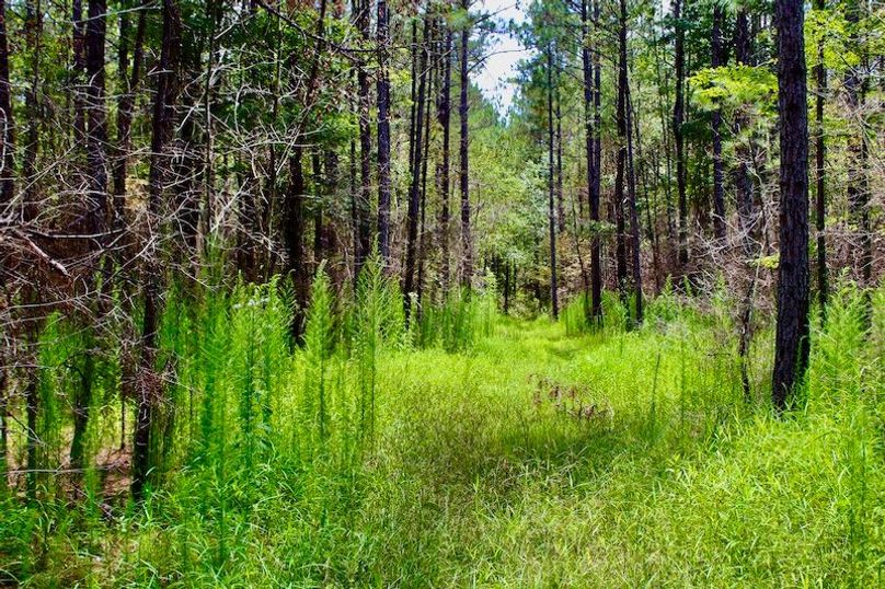 A6AF4585-C465-4877-8711-96D30A30EDAB_1_201_a