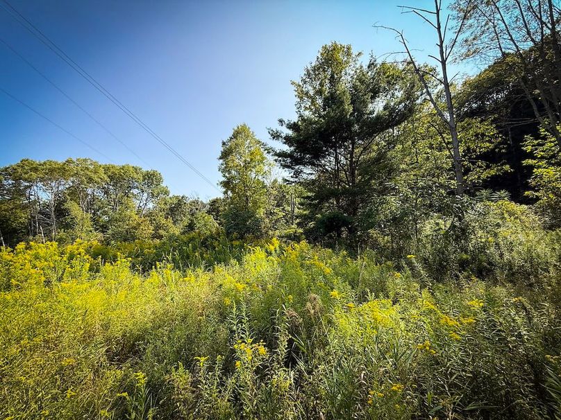 Tioga NY 86.705 Capwell Photos 34