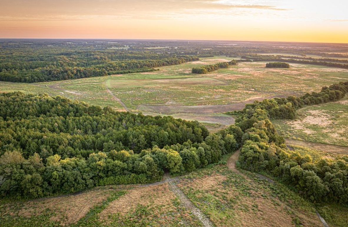 Copy of Clay 374.13-04