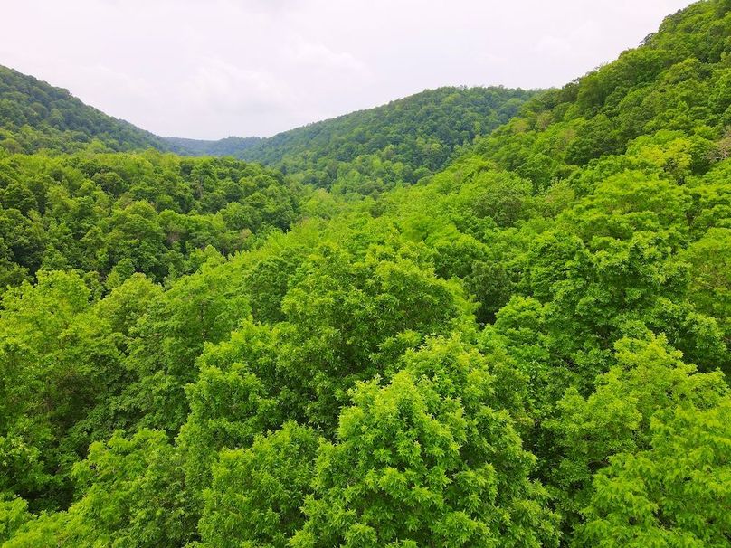 DJI_0333