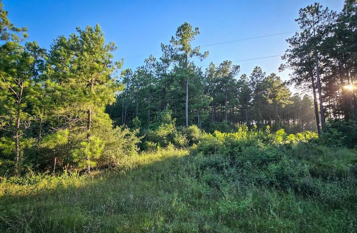 Copy of 20240704_191431