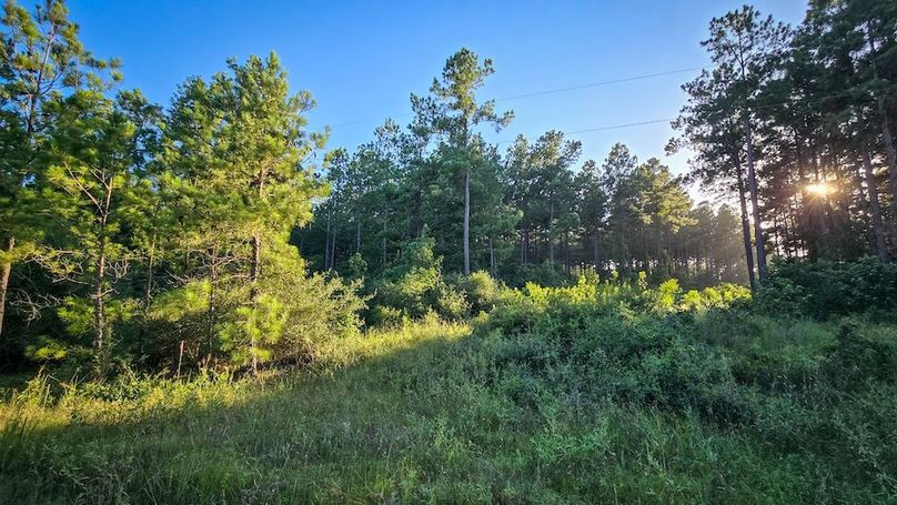 Copy of 20240704_191431