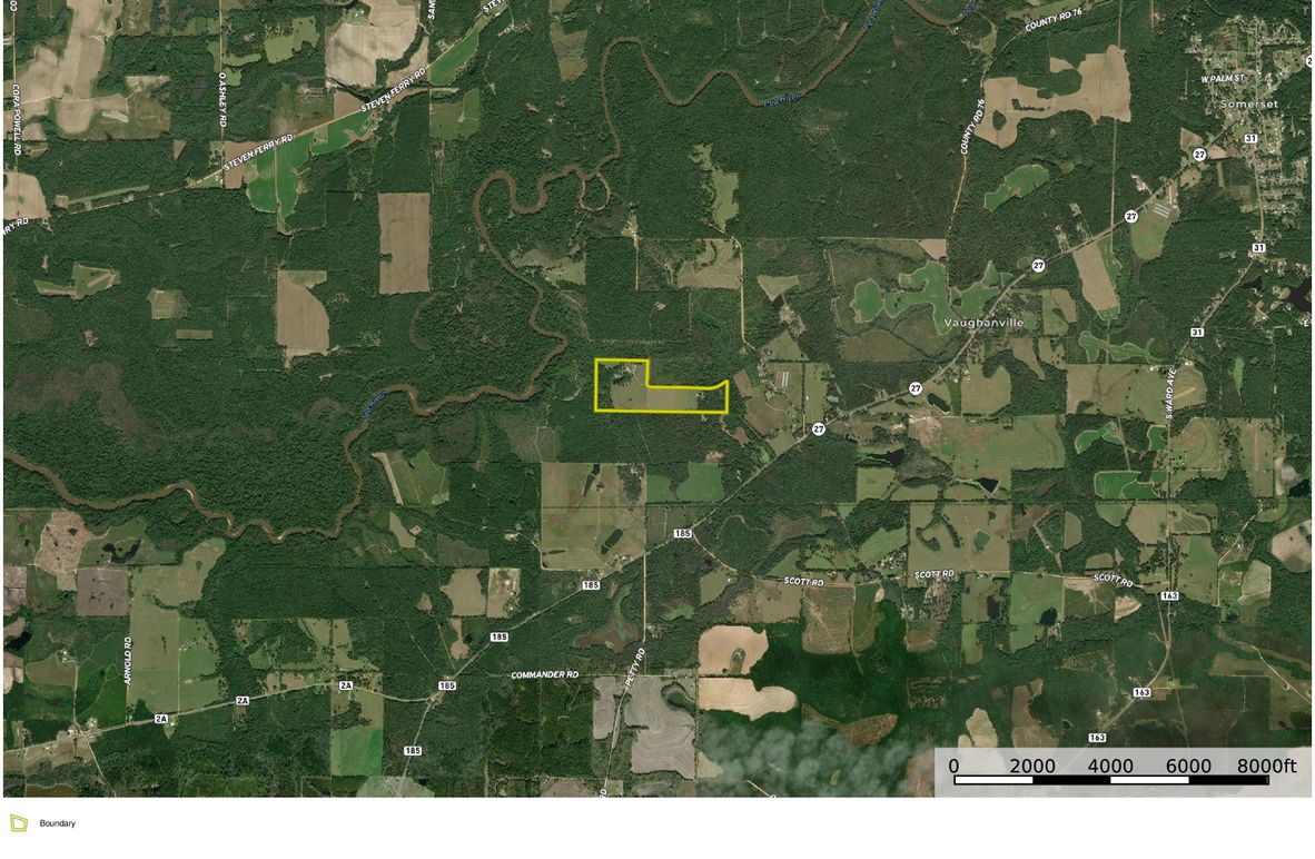 Aerial #2 - 70 Acres Geneva County, AL - Magoun-page-0