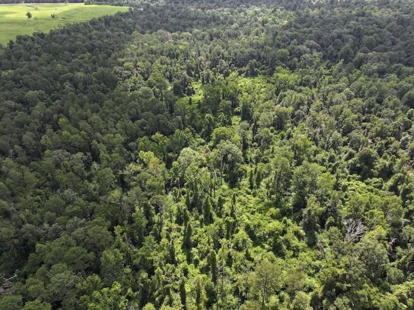 dji_fly_20250708_104456_0194_1752089895214_photo