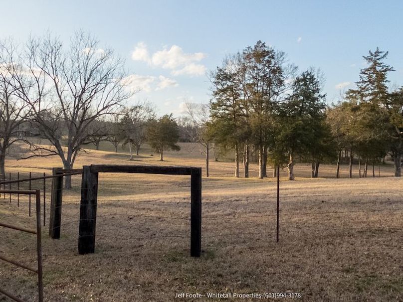 Hinds - 25.48 - Hank Beasley-20