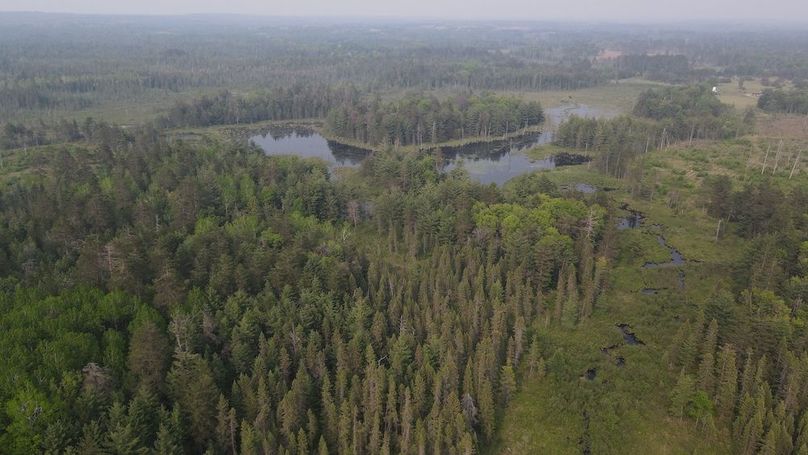 DJI_0941