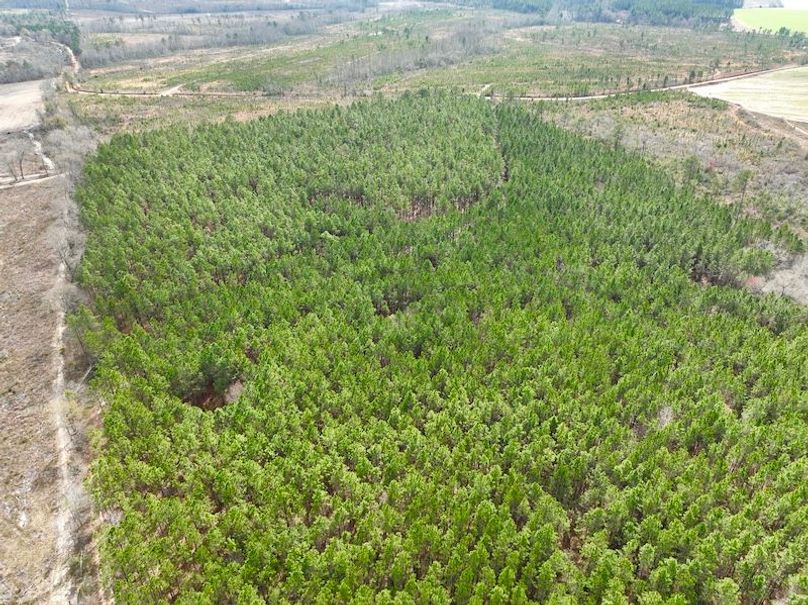 dji_fly_20240227_124508_126_1709056335603_photo