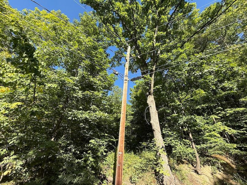 Ontario_2.7_Proseus Photo 27