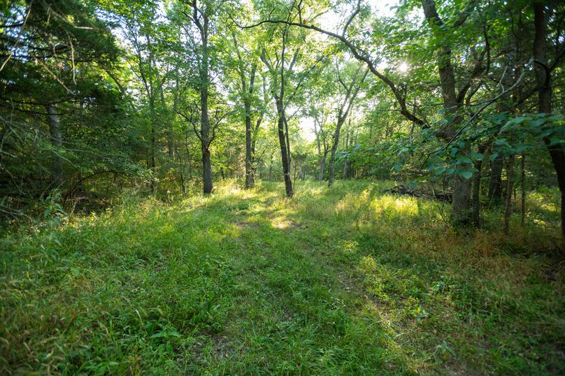 Webster MO 106 Featured_Pro Photo-30