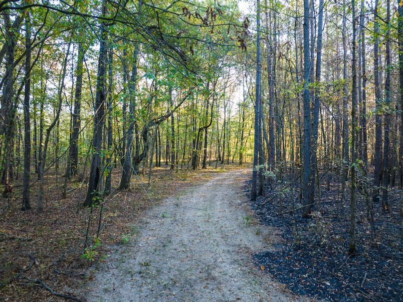 Clay 302.7 Henderson-30